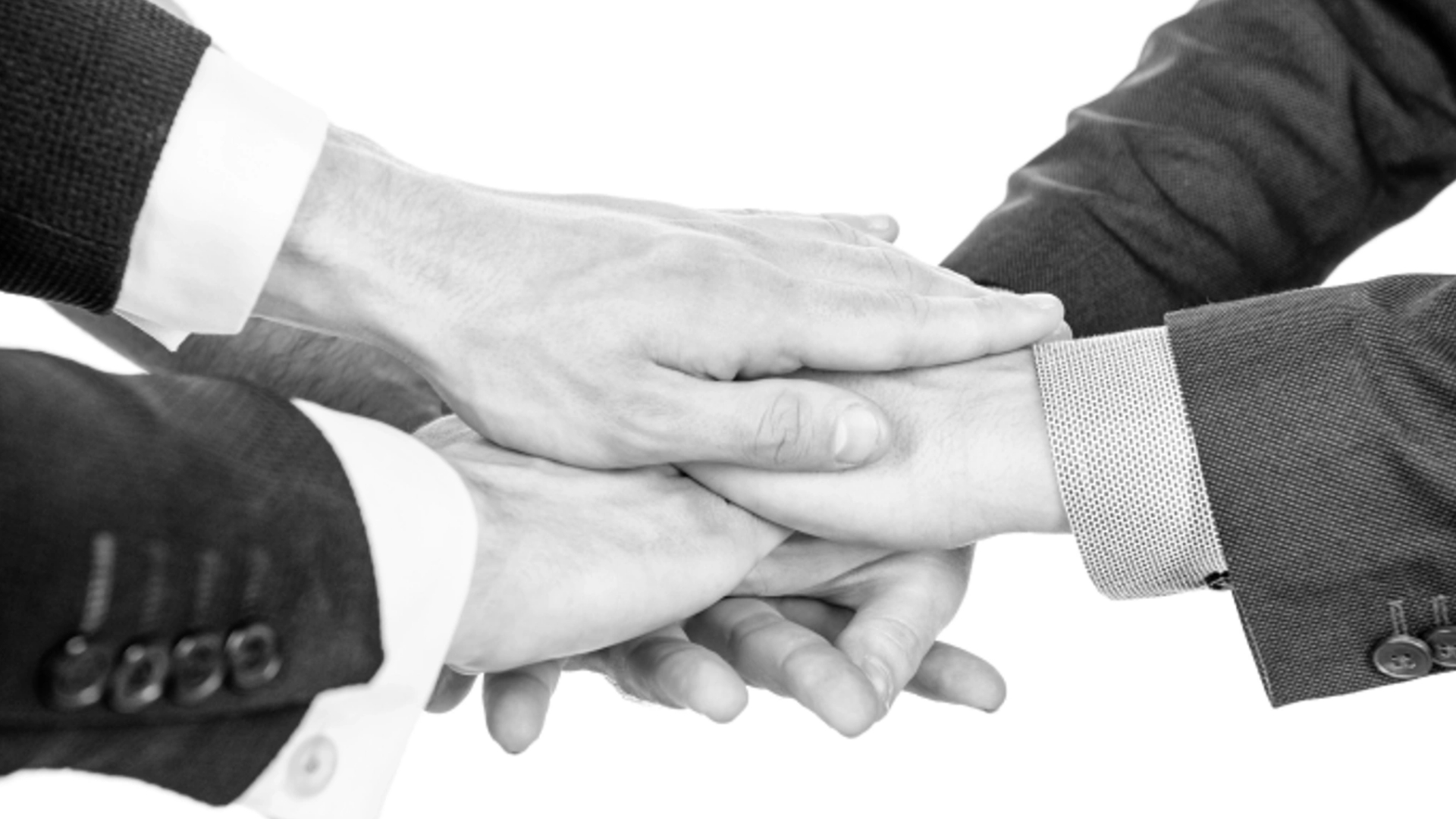 News NSG - oikos area acquisition.jpeg